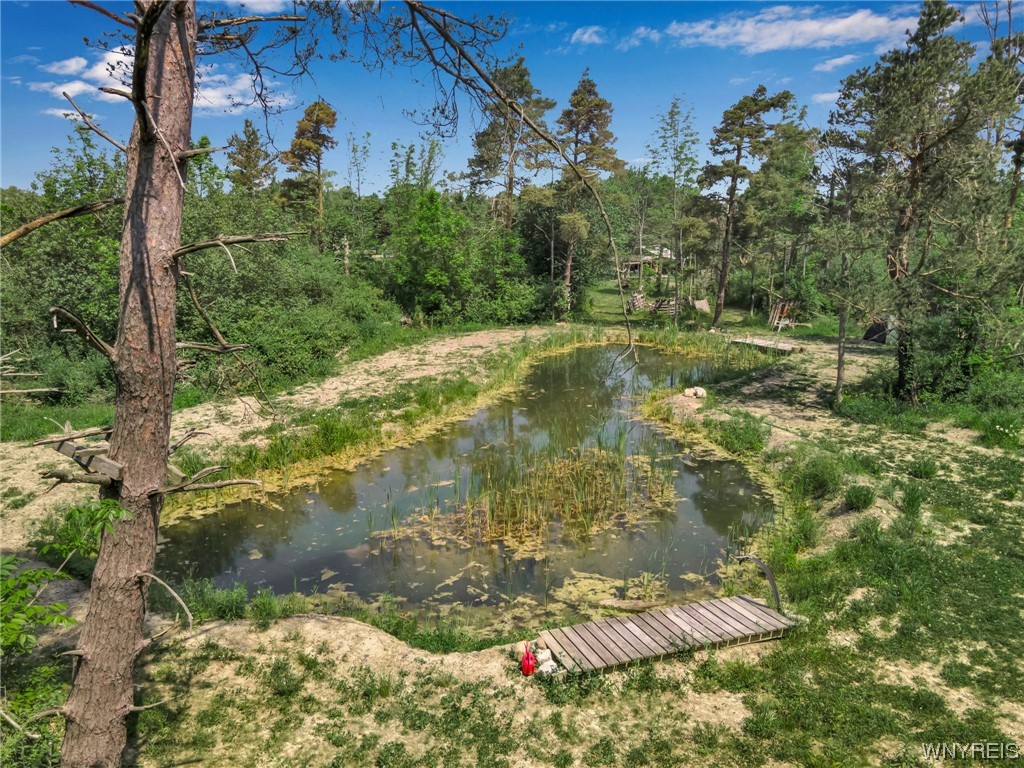 1627 Sturgeon Point Road Evans, NY 14047 - Photo 14 of 49