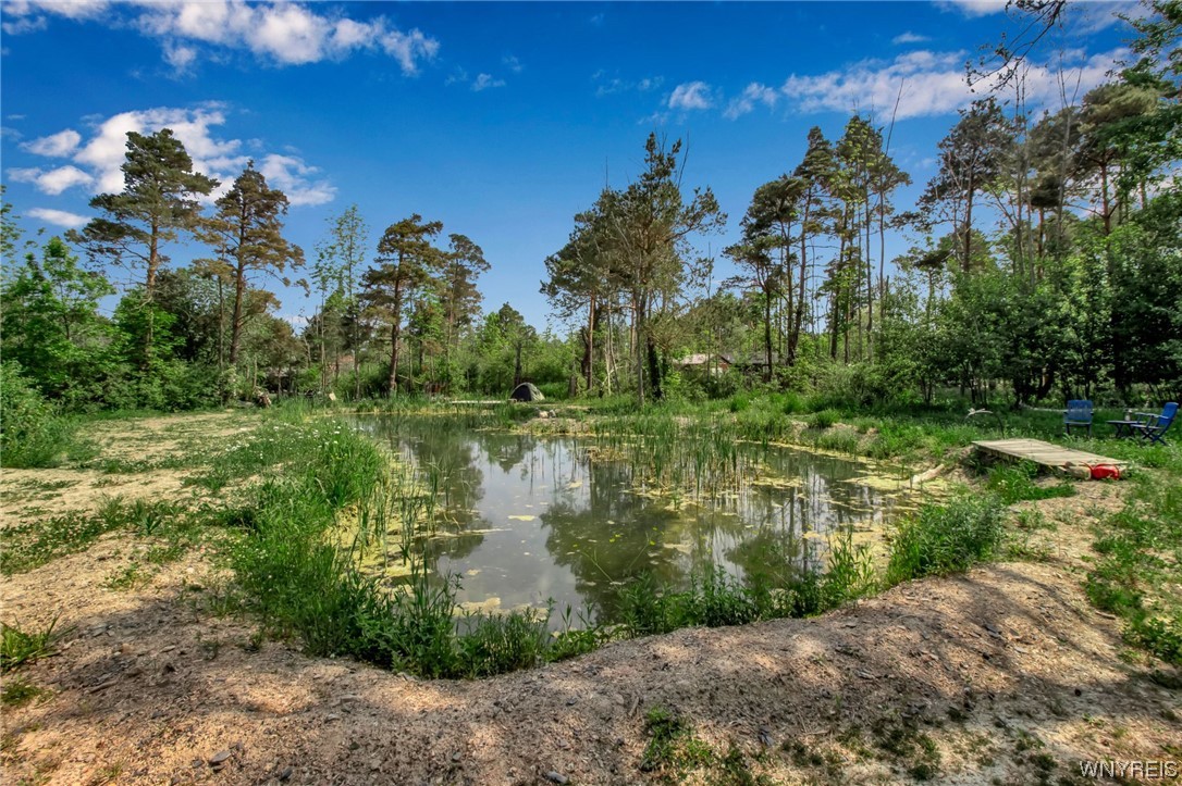1627 Sturgeon Point Road Evans, NY 14047 - Photo 15 of 49