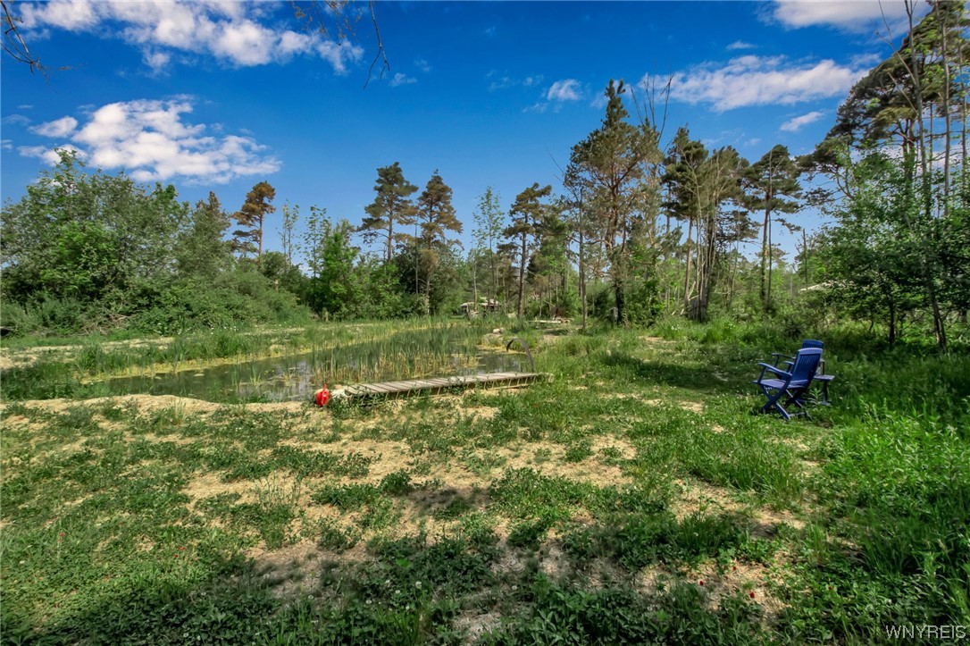 1627 Sturgeon Point Road Evans, NY 14047 - Photo 16 of 49