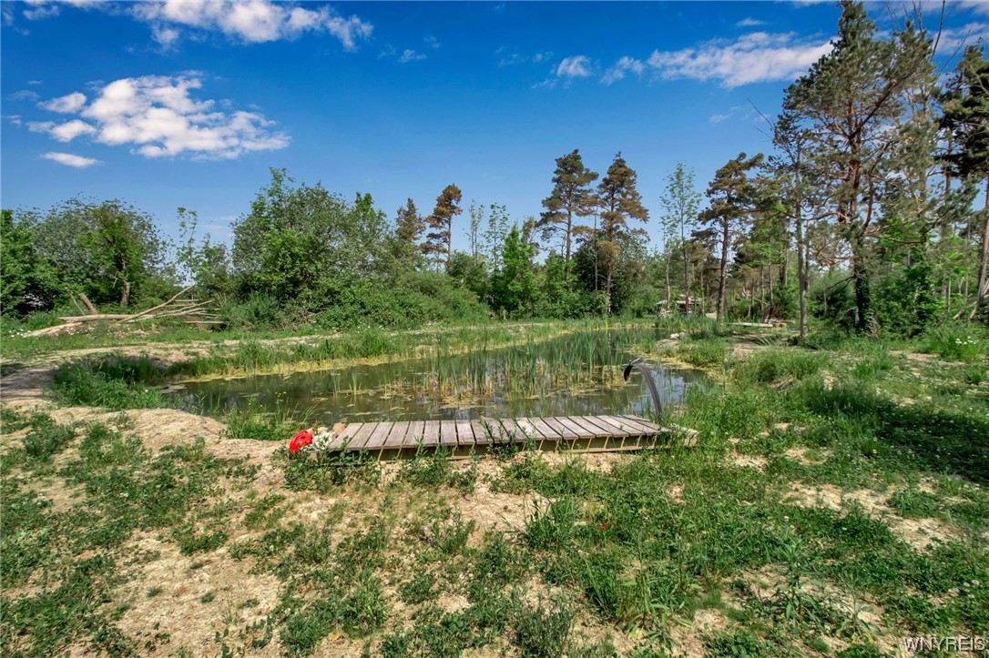 1627 Sturgeon Point Road Evans, NY 14047 - Photo 17 of 49