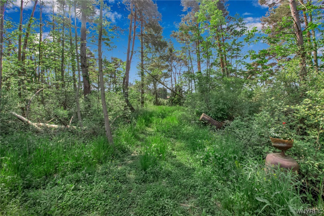 1627 Sturgeon Point Road Evans, NY 14047 - Photo 19 of 49