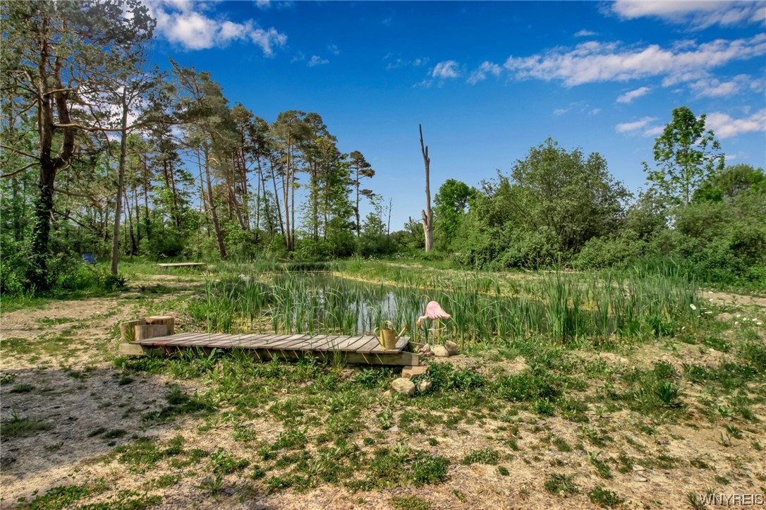 1627 Sturgeon Point Road Evans, NY 14047 - Photo 20 of 49