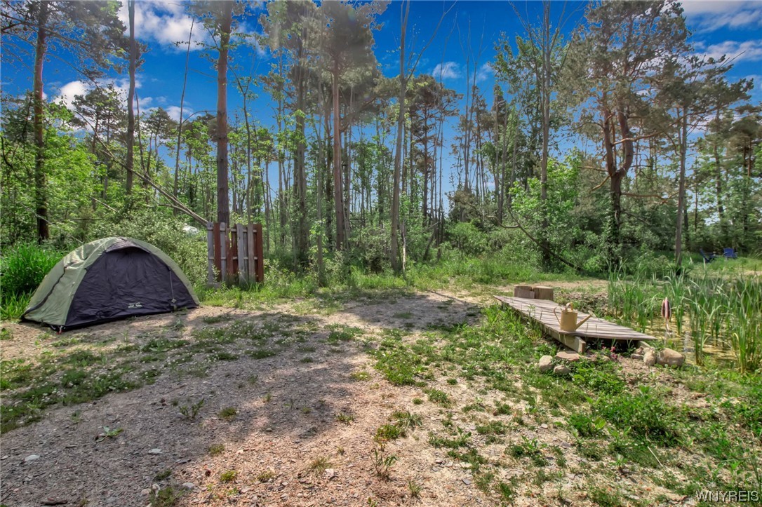 1627 Sturgeon Point Road Evans, NY 14047 - Photo 21 of 49