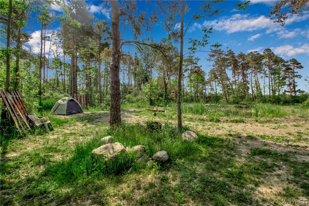 1627 Sturgeon Point Road Evans, NY 14047 - Photo 22 of 49