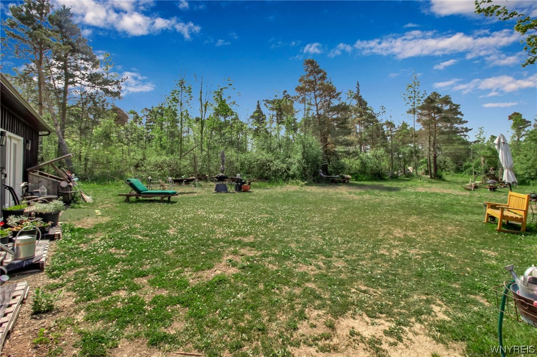 1627 Sturgeon Point Road Evans, NY 14047 - Photo 25 of 49