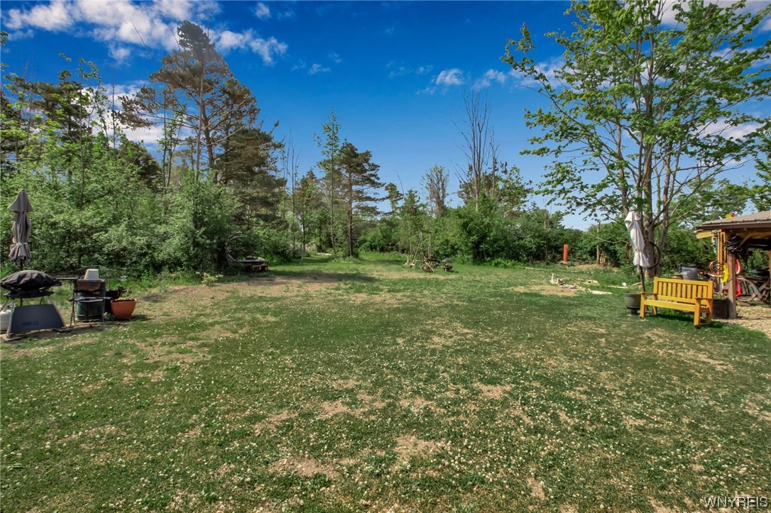 1627 Sturgeon Point Road Evans, NY 14047 - Photo 27 of 49