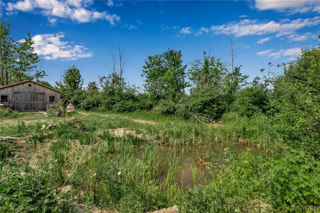 1627 Sturgeon Point Road Evans, NY 14047 - Photo 29 of 49