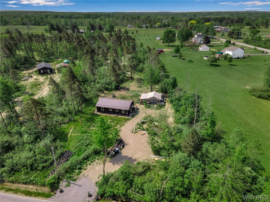 1627 Sturgeon Point Road Evans, NY 14047 - Photo 5 of 49