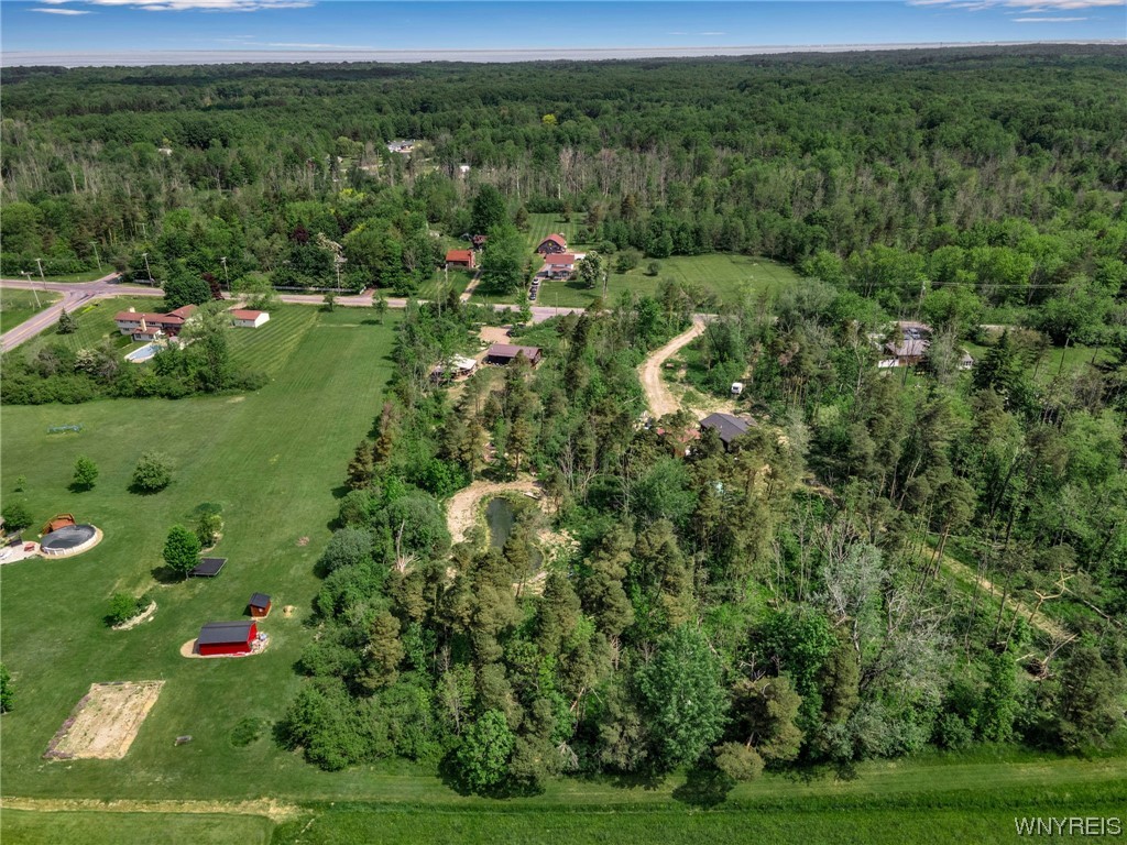 1627 Sturgeon Point Road Evans, NY 14047 - Photo 6 of 49