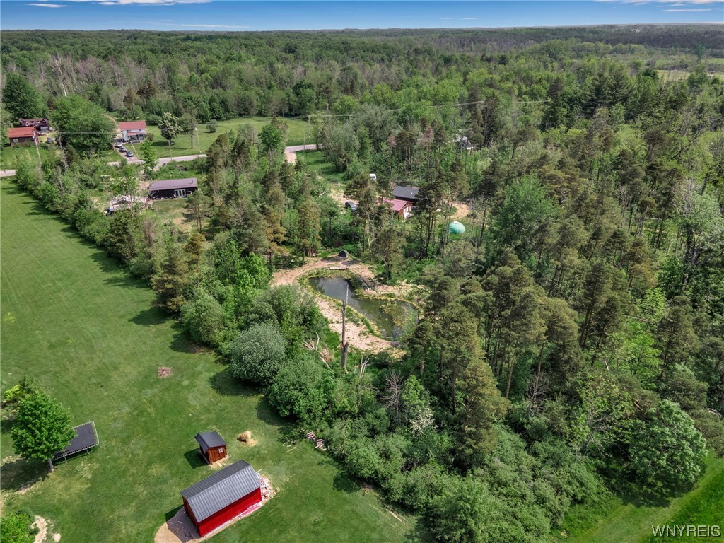 1627 Sturgeon Point Road Evans, NY 14047 - Photo 7 of 49