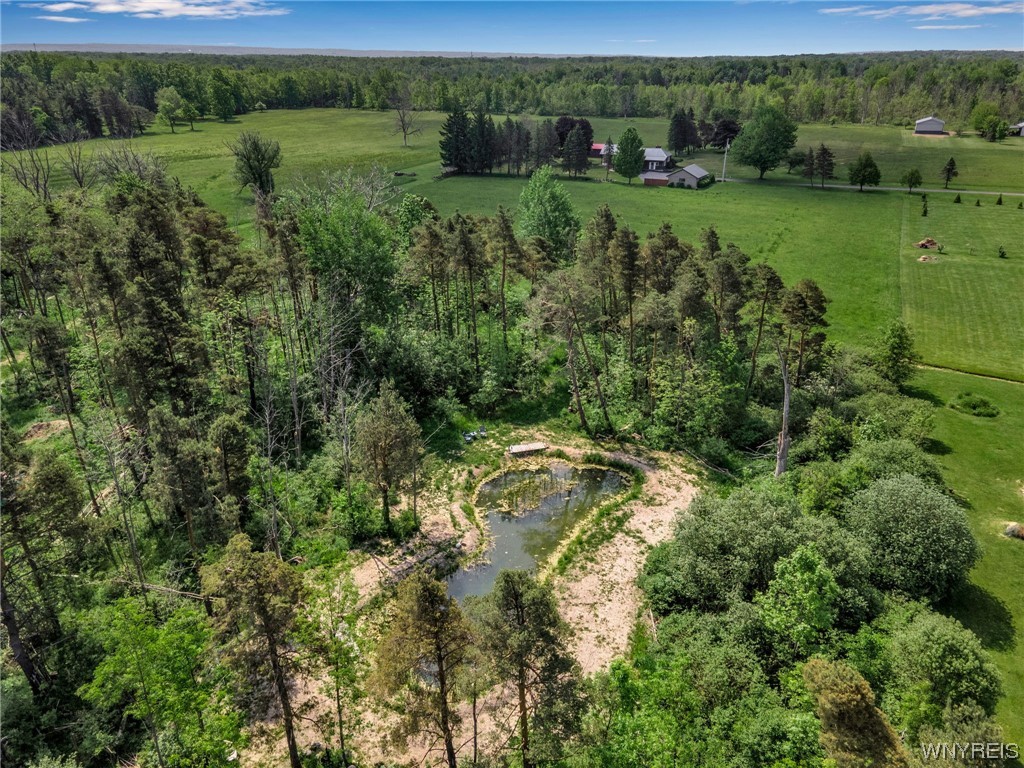 1627 Sturgeon Point Road Evans, NY 14047 - Photo 8 of 49