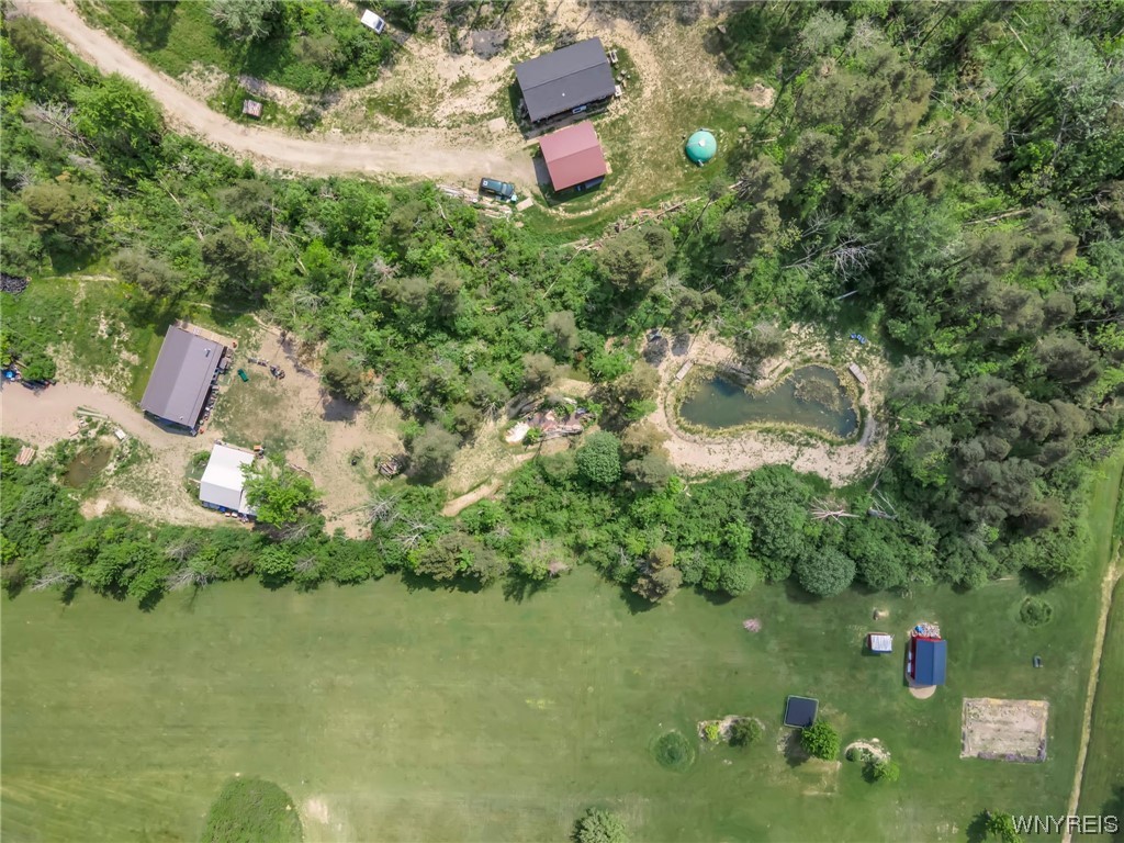 1627 Sturgeon Point Road Evans, NY 14047 - Photo 9 of 49