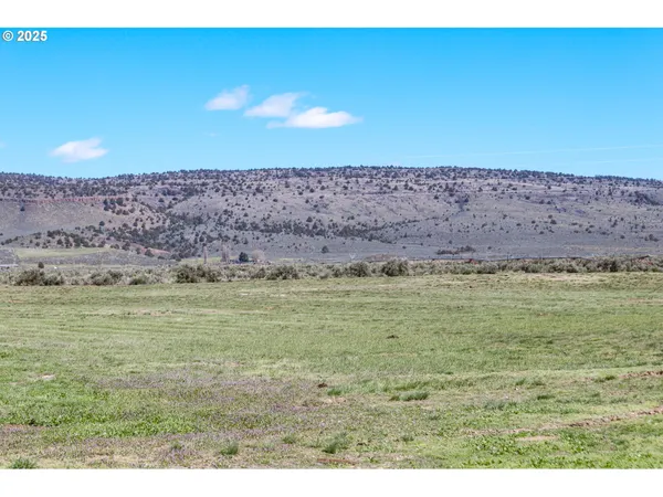 a living room with furniture a window and potted plant