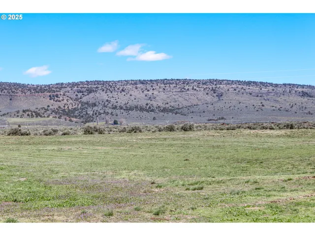 a living room with furniture a window and potted plant