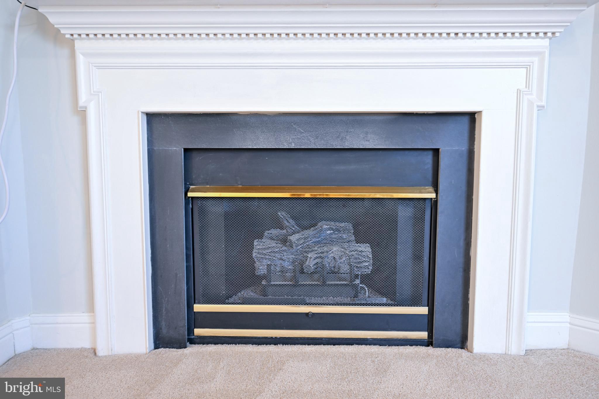 8727 Grape Arbor Way Odenton, MD 21113 - Photo 37 of 49