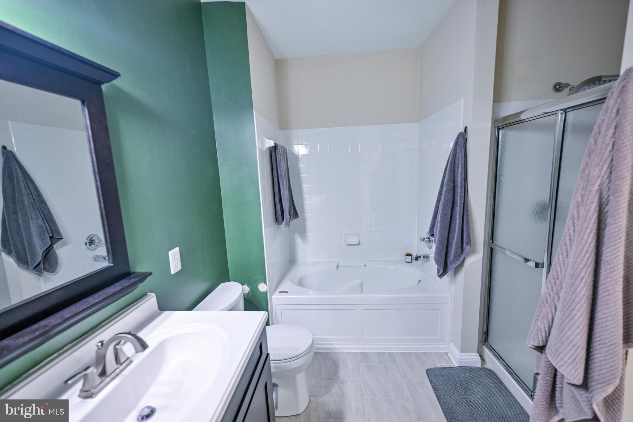 8727 Grape Arbor Way Odenton, MD 21113 - Photo 39 of 49 a bathroom with a sink a toilet and bathtub