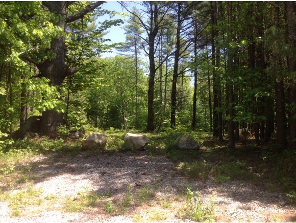 35 Gilman's Corner Road Wolfeboro, NH 03894 - Photo 1 of 4 Gallery Image 1
