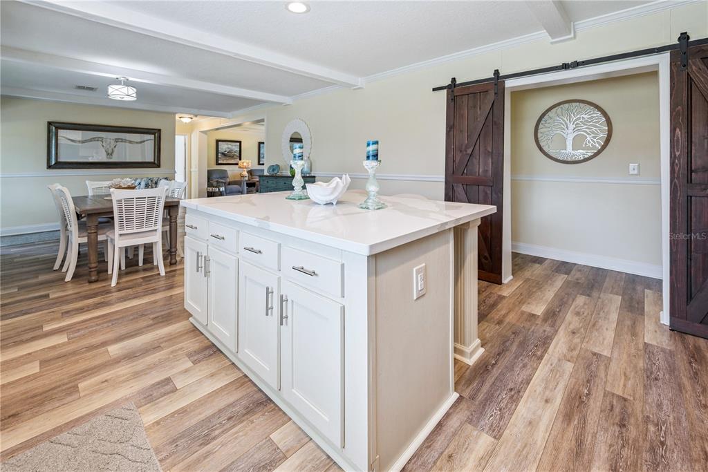 1175 Southwest 248th Avenue Steinhatchee, FL 32359 - Photo 33 of 54