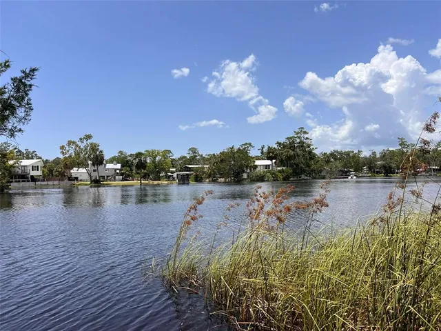$325,000 | 1175 Southwest 248th Avenue, Steinhatchee, FL 32359