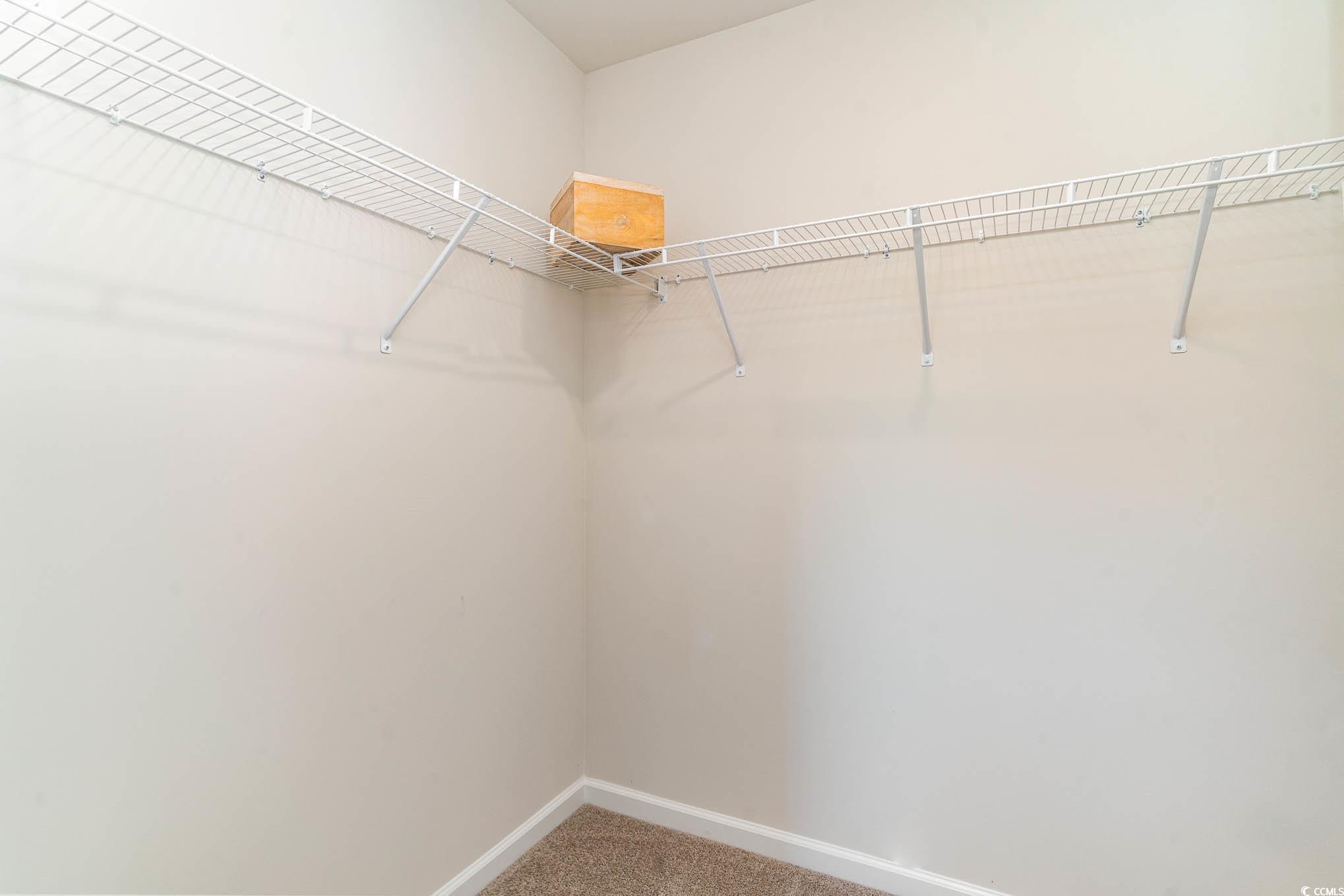 243 Teddy Bear Loop Conway, SC 29526 - Photo 17 of 24 Walk in closet featuring carpet flooring