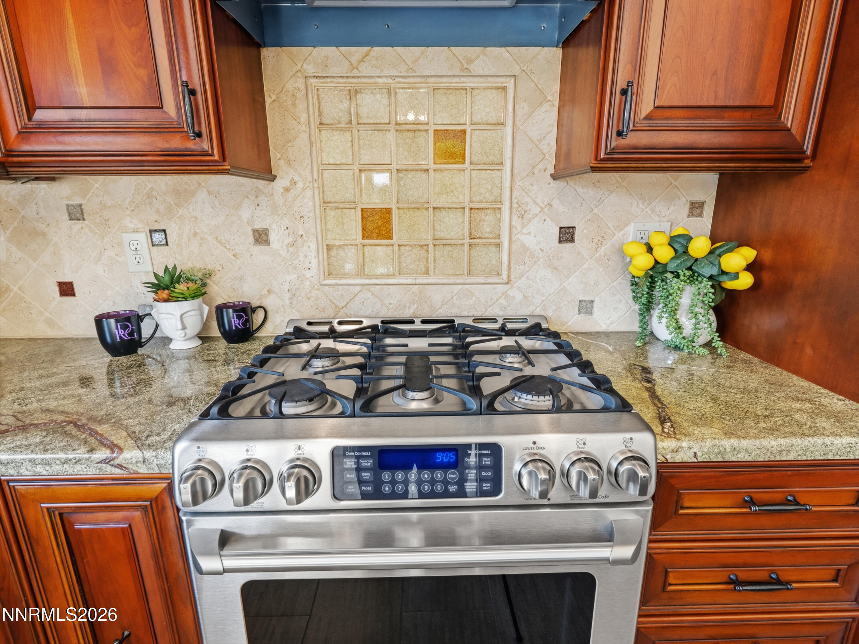 9585 Navigator Drive Reno, NV 89521 - Photo 73 of 89 DSC01249