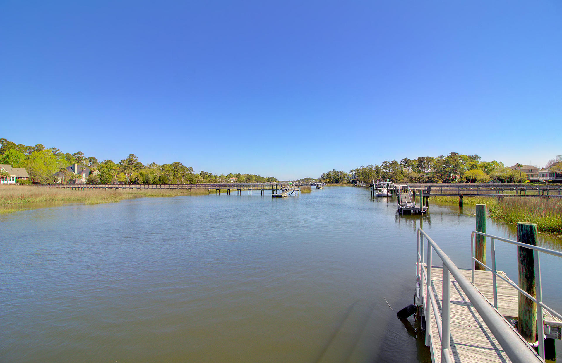 3596 Henrietta Hartford Road Mount Pleasant, SC 29466 - Photo 65 of 93 66