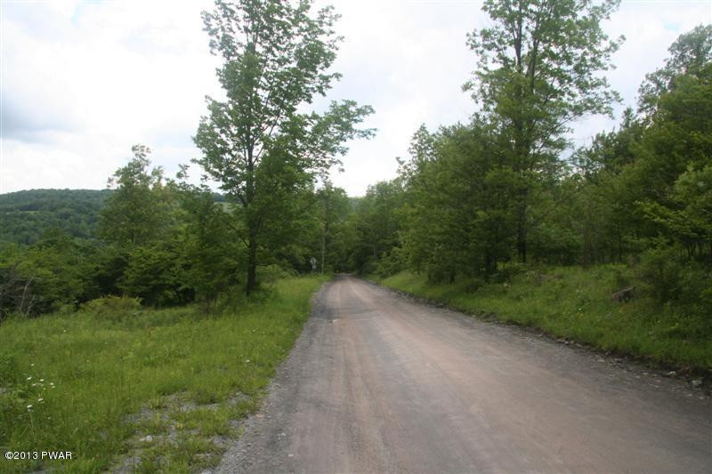 Creek Road Pleasant Mount, PA 18453 - Photo 6 of 9