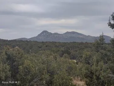 a kitchen with a sink a refrigerator a stove a microwave and cabinets