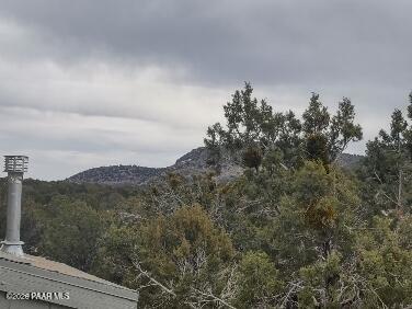 16432 Incline Trail Williams, AZ 86046 - Photo 28 of 62 033_IMG_20220319_150553944_HDR
