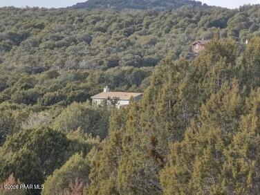 16432 Incline Trail Williams, AZ 86046 - Photo 30 of 62 a view of a dry yard with green space and fog