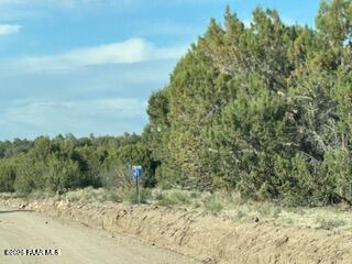 16432 Incline Trail Williams, AZ 86046 - Photo 50 of 62 a view of a dry yard with trees