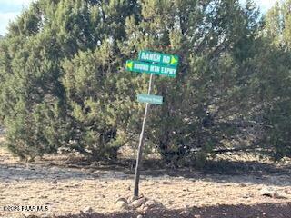 16432 Incline Trail Williams, AZ 86046 - Photo 51 of 62 a flag is sitting in the middle of a yard