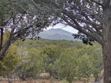 16432 Incline Trail Williams, AZ 86046 - Photo 9 of 62 a view of mountain view with lots of trees