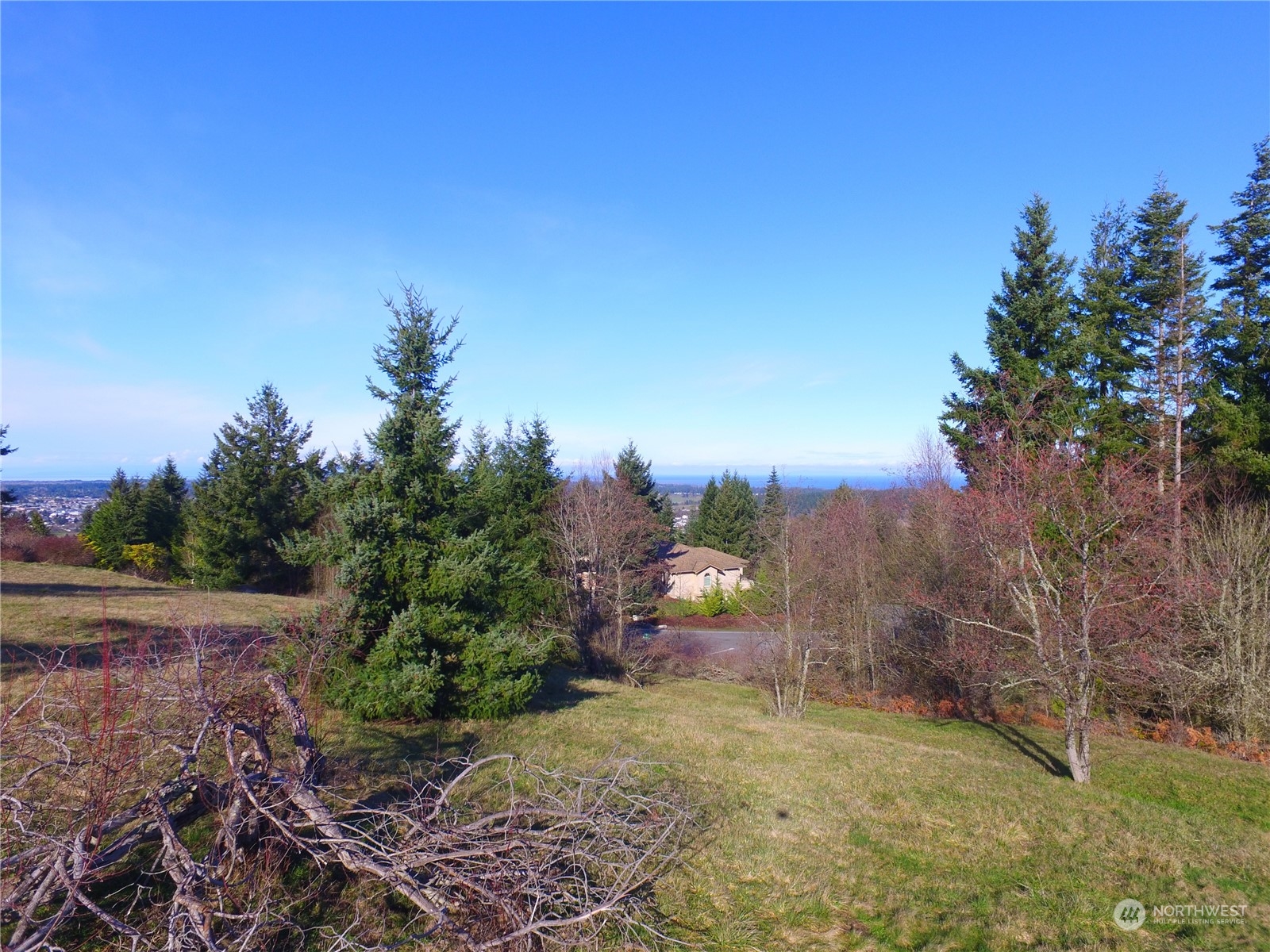 9 Fox Hollow Road Sequim, WA 98382 - Photo 8 of 15