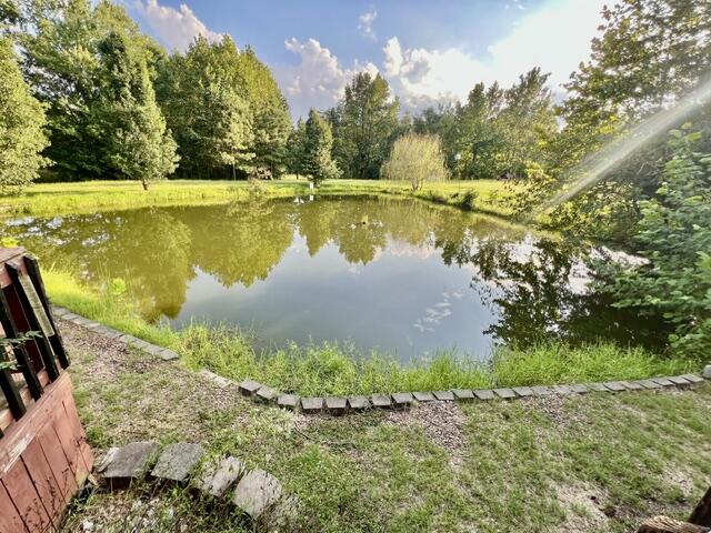 531 State Rte 1340 Dixon, KY 42409 - Photo 5 of 35 Gallery Image 5