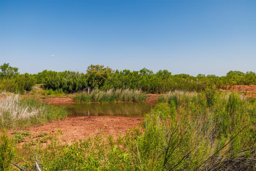 179 County Road Trent, TX 79561 - Photo 2 of 28