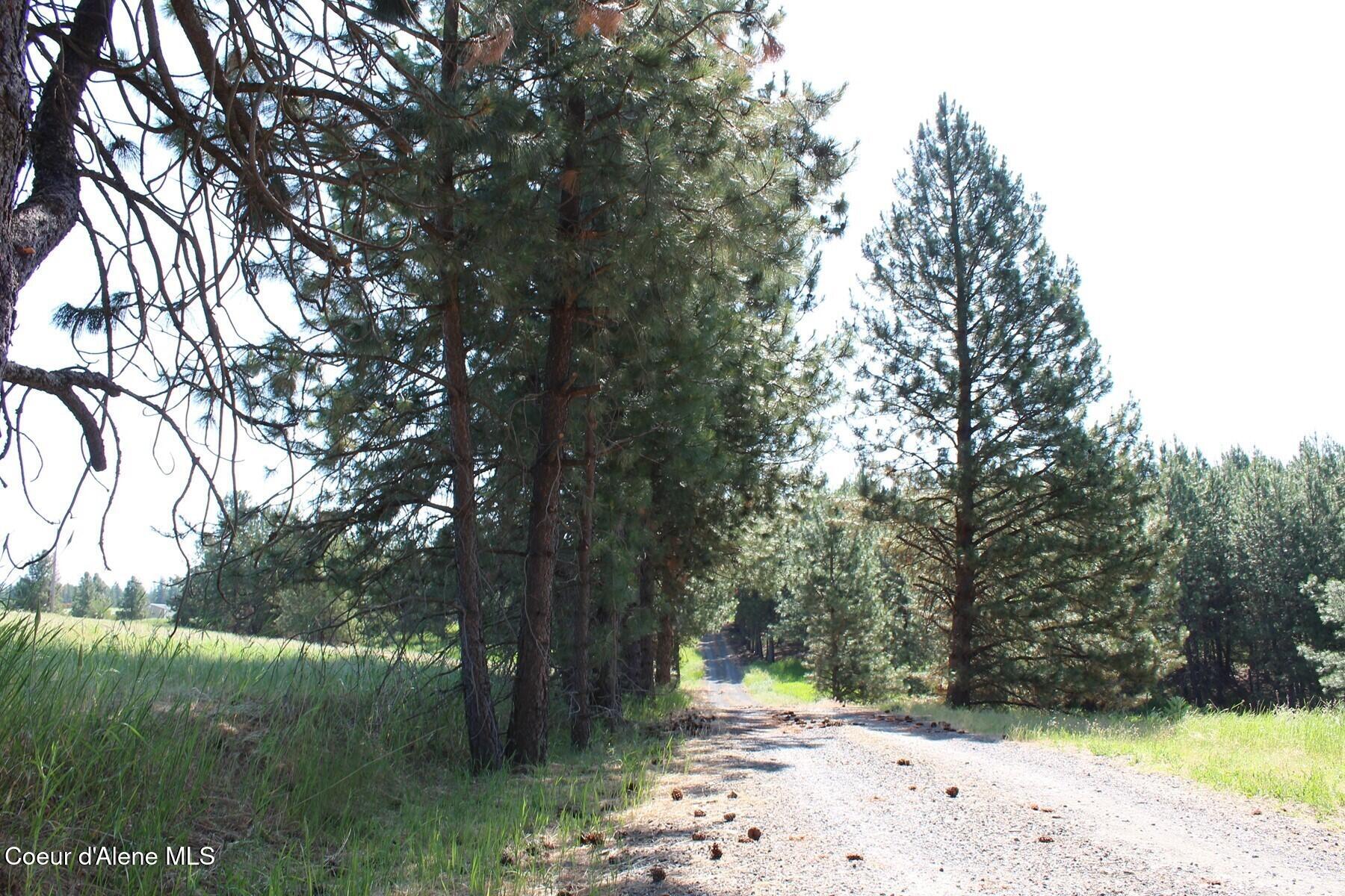 10 A Honor Road Harrison, ID 83833 - Photo 2 of 22 Northwest Corner and Honor Road