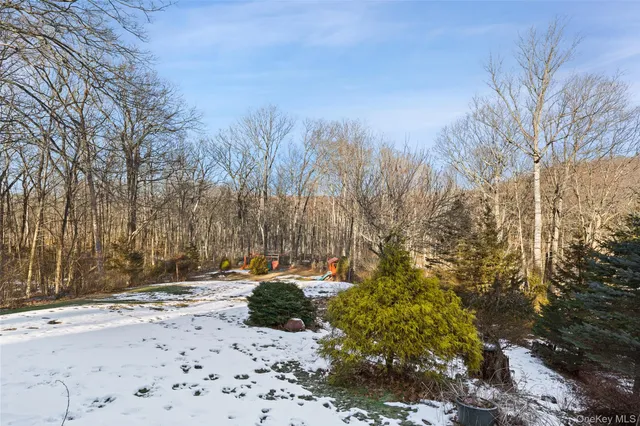 a view of a yard with snow on the road