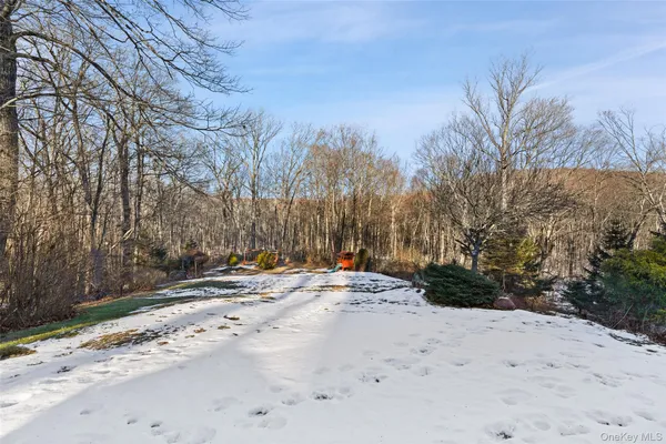 a view of a backyard of the house