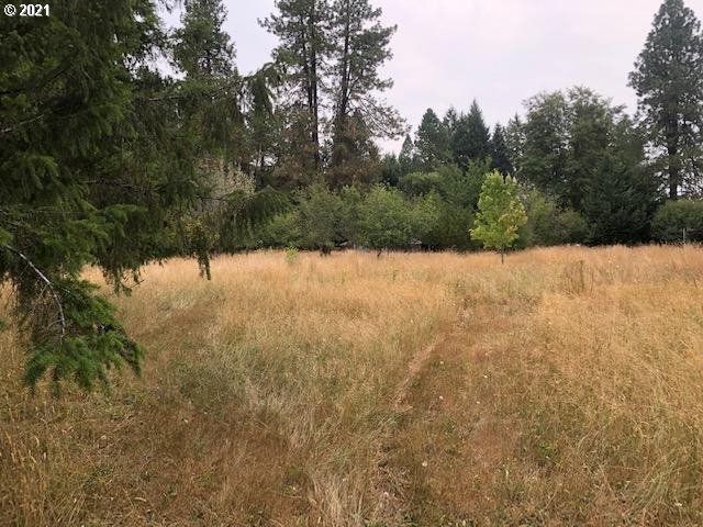 89374 Demming Road Elmira, OR 97437 - Photo 2 of 9 Gallery Image 2