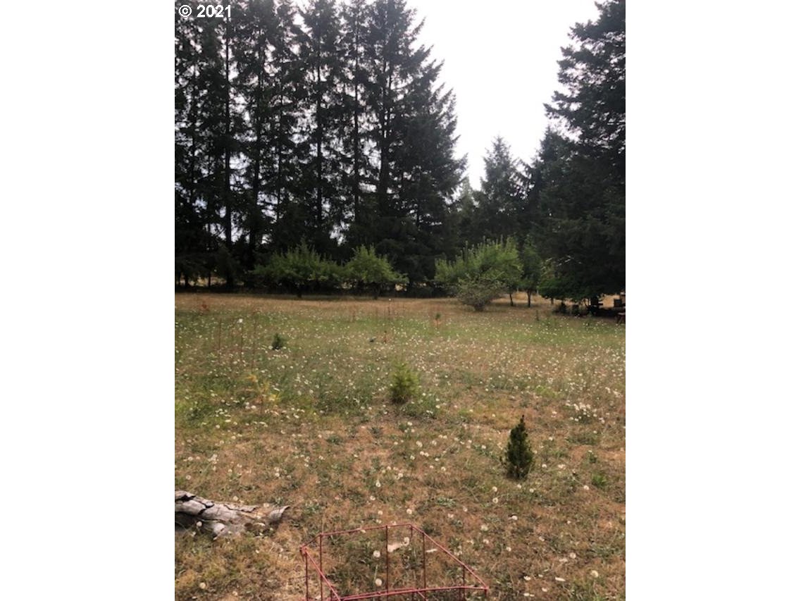 89374 Demming Road Elmira, OR 97437 - Photo 5 of 9 Gallery Image 5