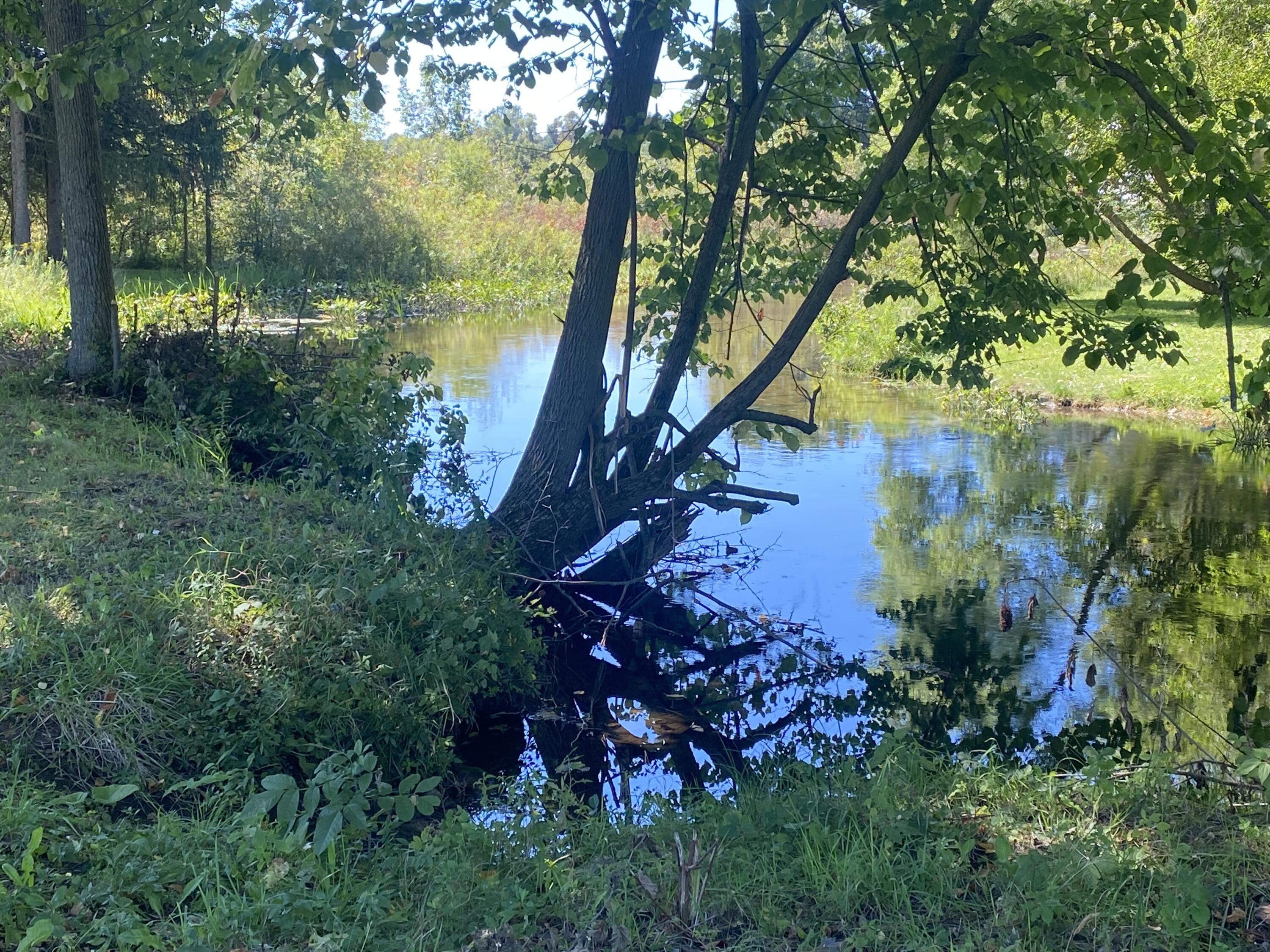 0 Albion Road Concord, MI 49237 - Photo 11 of 27 IMG_7912