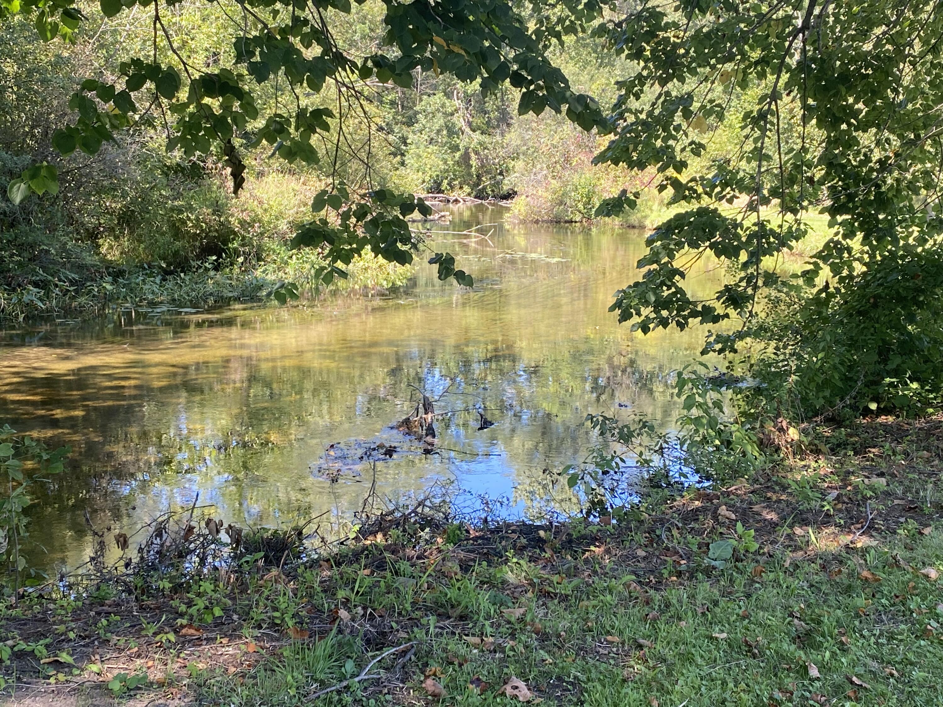 0 Albion Road Concord, MI 49237 - Photo 12 of 27 IMG_7913