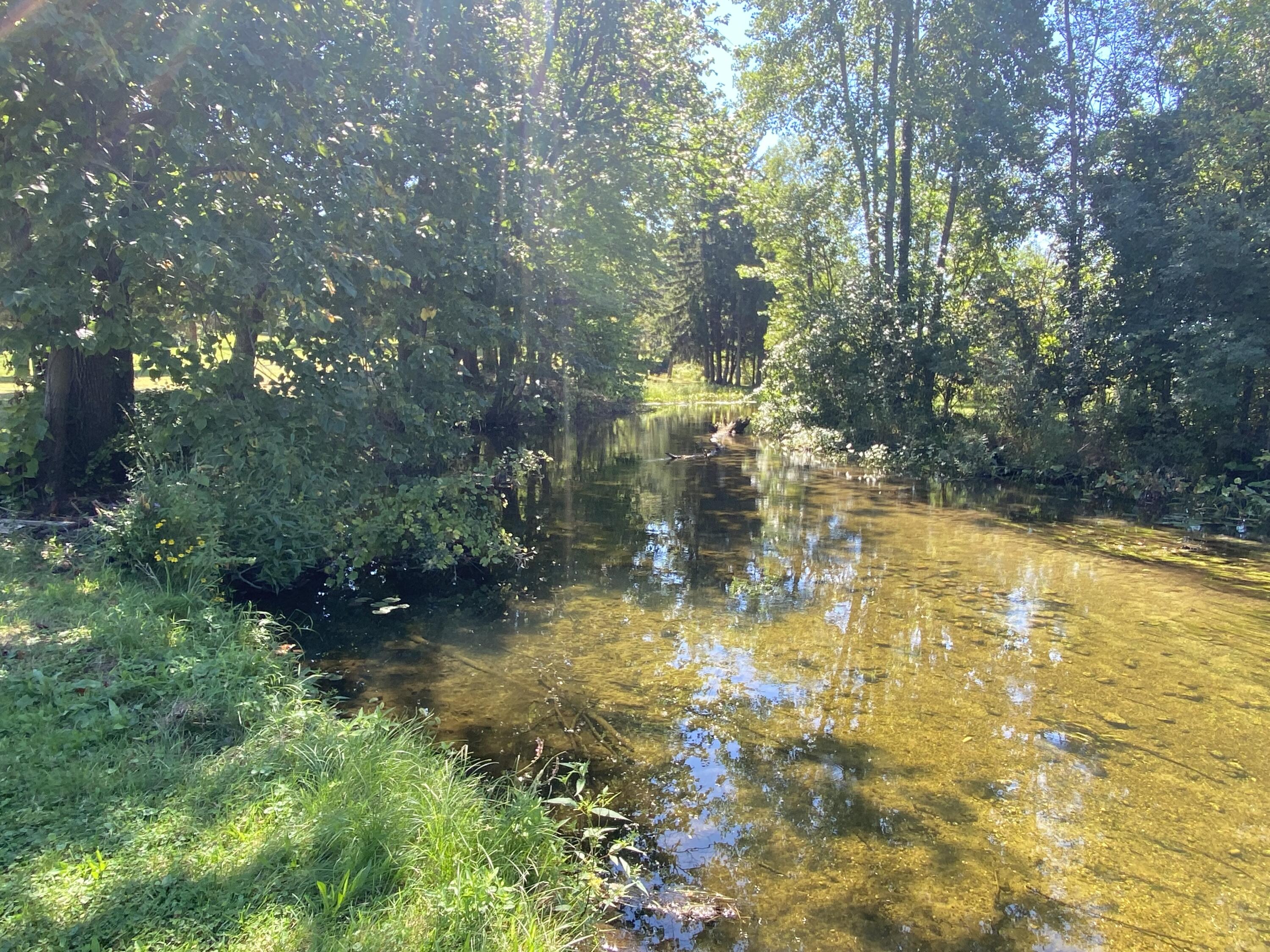 0 Albion Road Concord, MI 49237 - Photo 13 of 27 IMG_7914