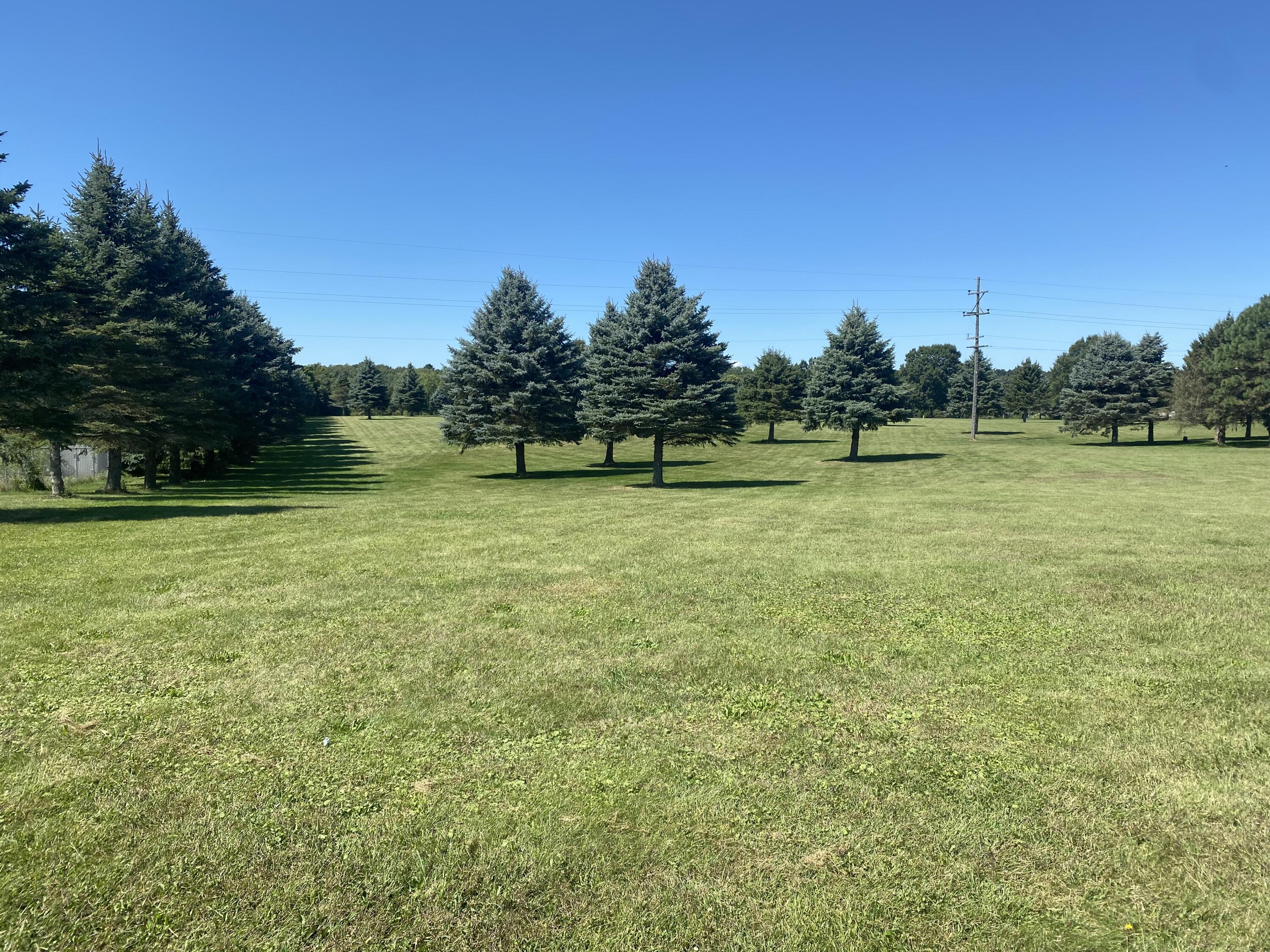 0 Albion Road Concord, MI 49237 - Photo 15 of 27 IMG_7899