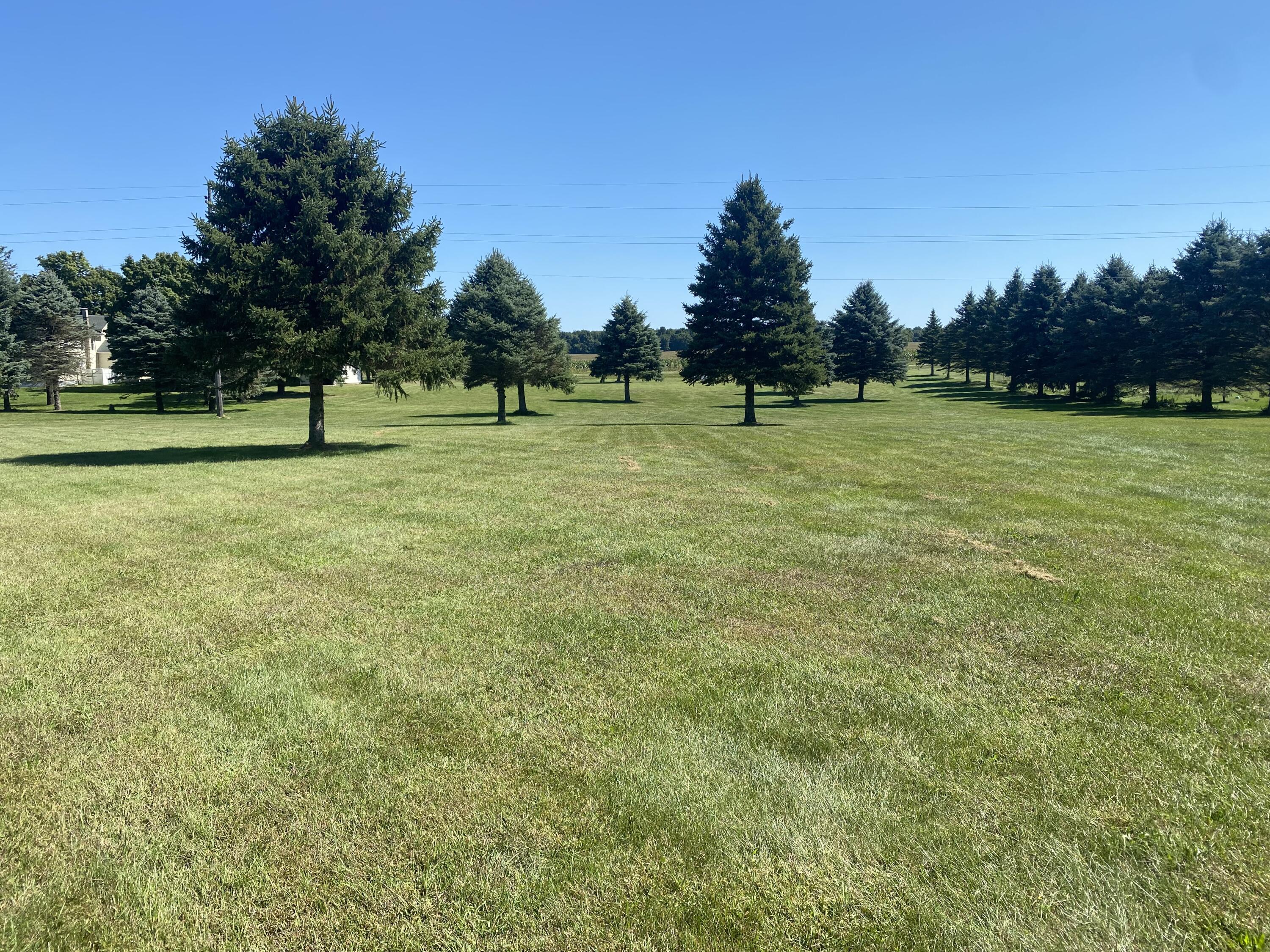 0 Albion Road Concord, MI 49237 - Photo 16 of 27 IMG_7900