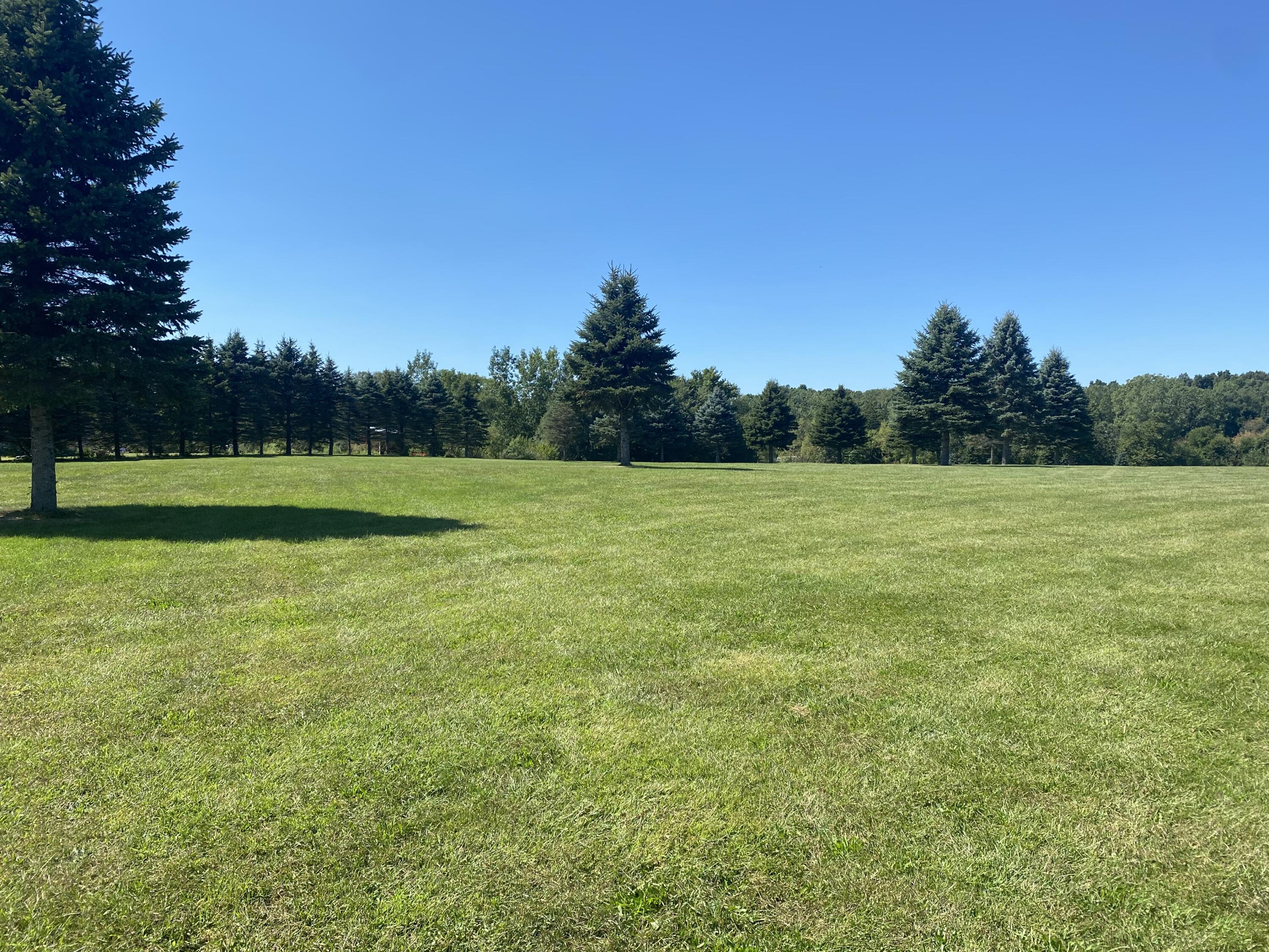 0 Albion Road Concord, MI 49237 - Photo 20 of 27 IMG_7904