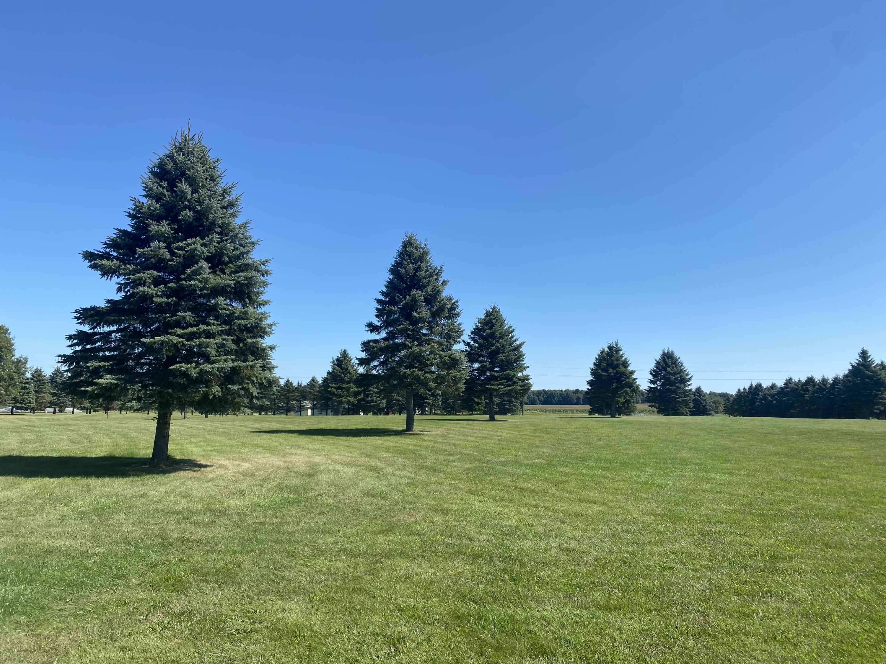 0 Albion Road Concord, MI 49237 - Photo 22 of 27 IMG_7906