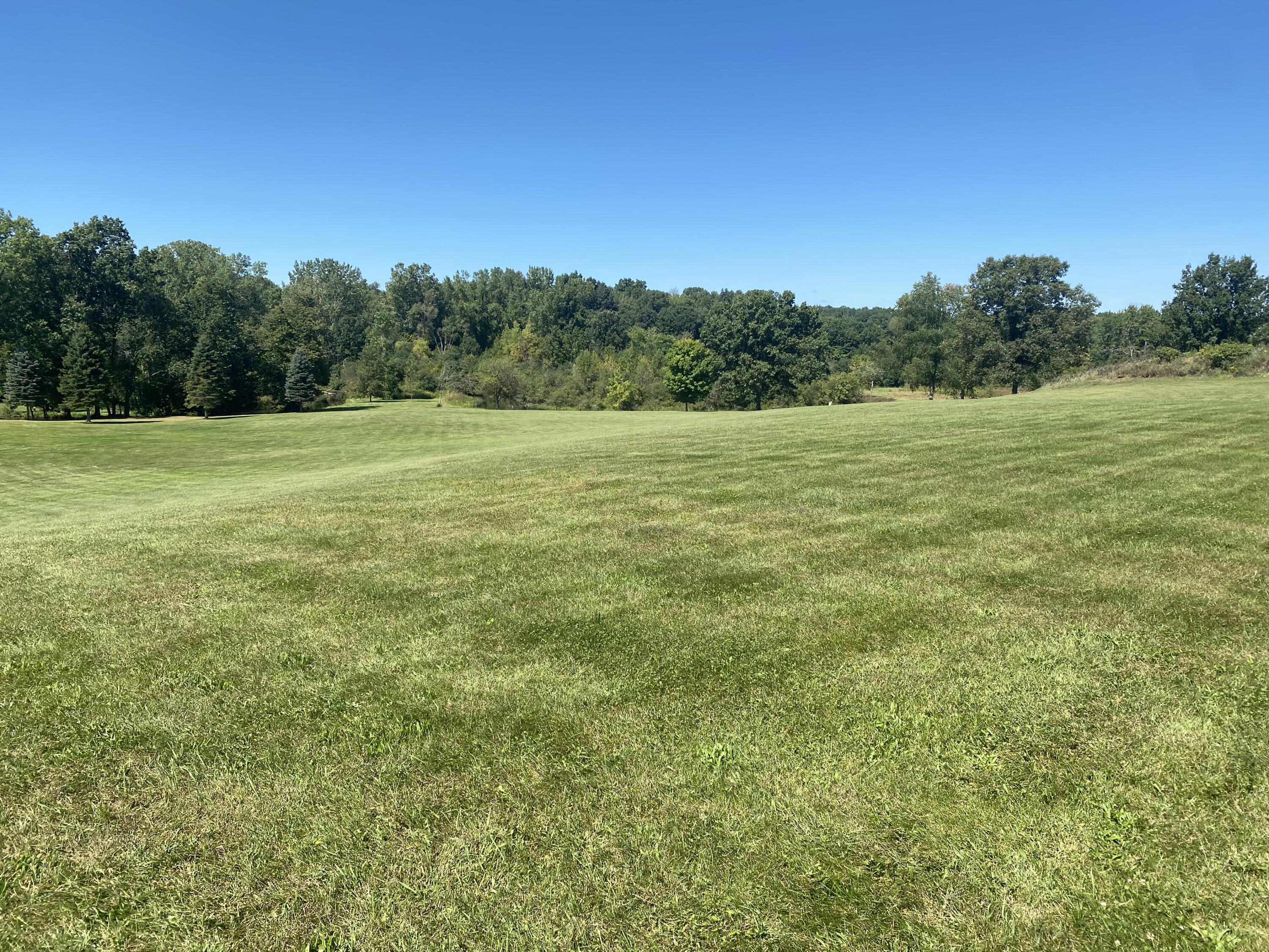 0 Albion Road Concord, MI 49237 - Photo 24 of 27 IMG_7908