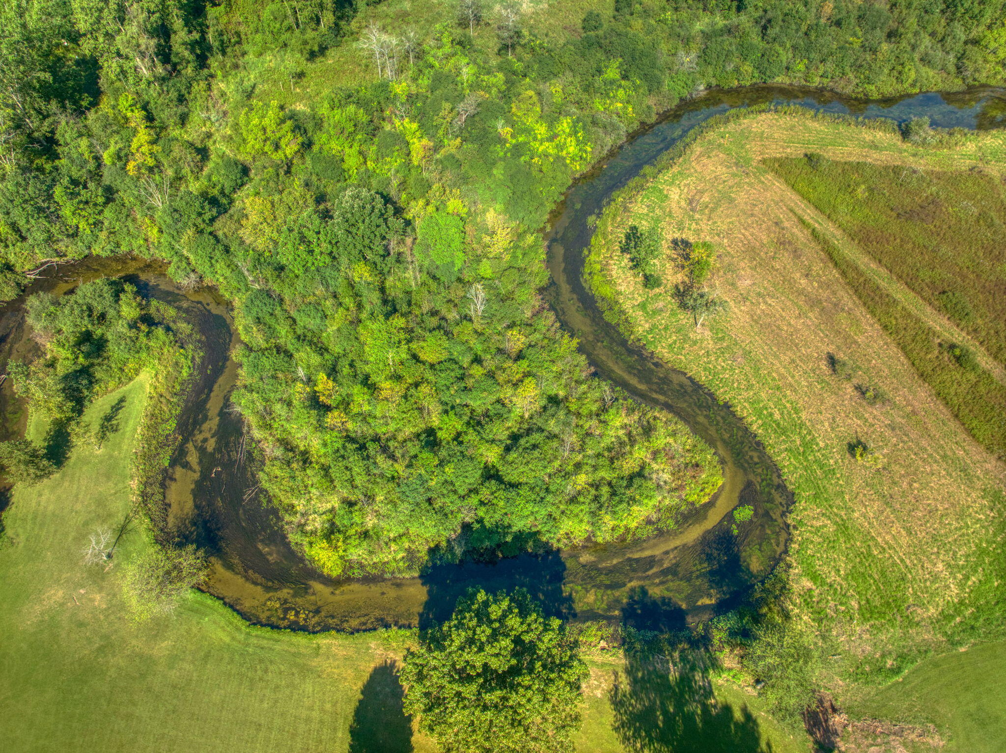 0 Albion Road Concord, MI 49237 - Photo 4 of 27 5-web-or-mls-DJI_0570